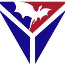 Dragon Star Curier, Social Media Expert